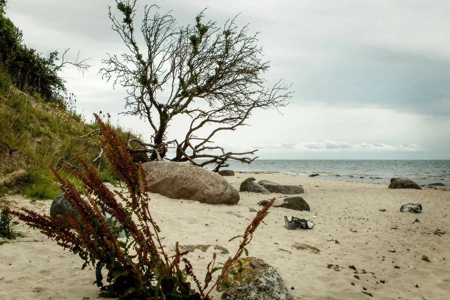 Urlaub auf Fehmarn 2016 - Am Meer