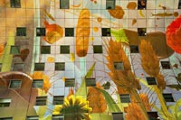 markthalle-rotterdam-3