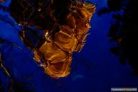 wasserspiegelung-2